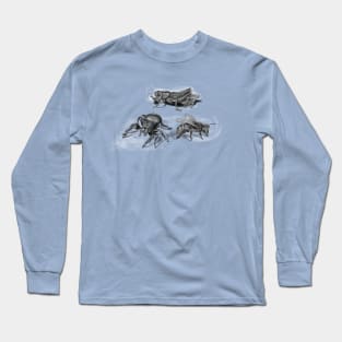 insects illustration, bee, spider and grasshopper Long Sleeve T-Shirt